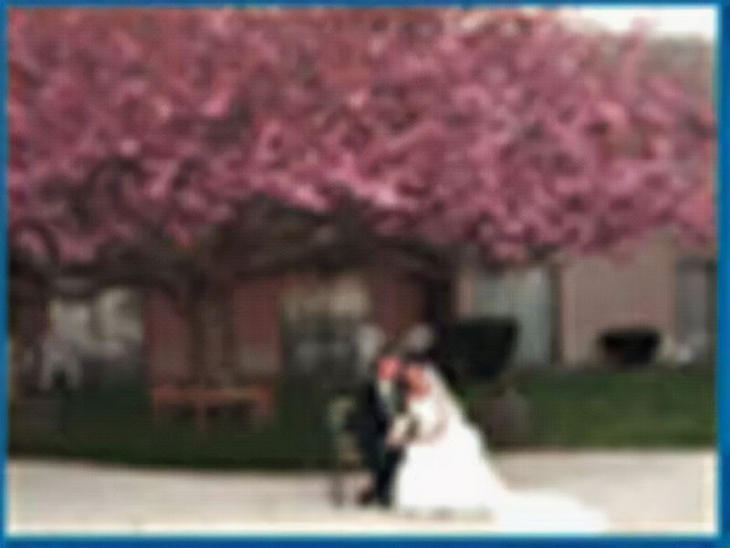 Photo of Others in Hyannis