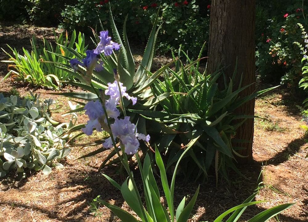 Photo of Others in Upper Wakefield