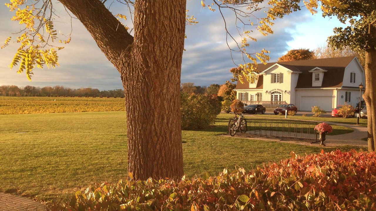 Photo of Buildings in Niagara-on-the-Lake
