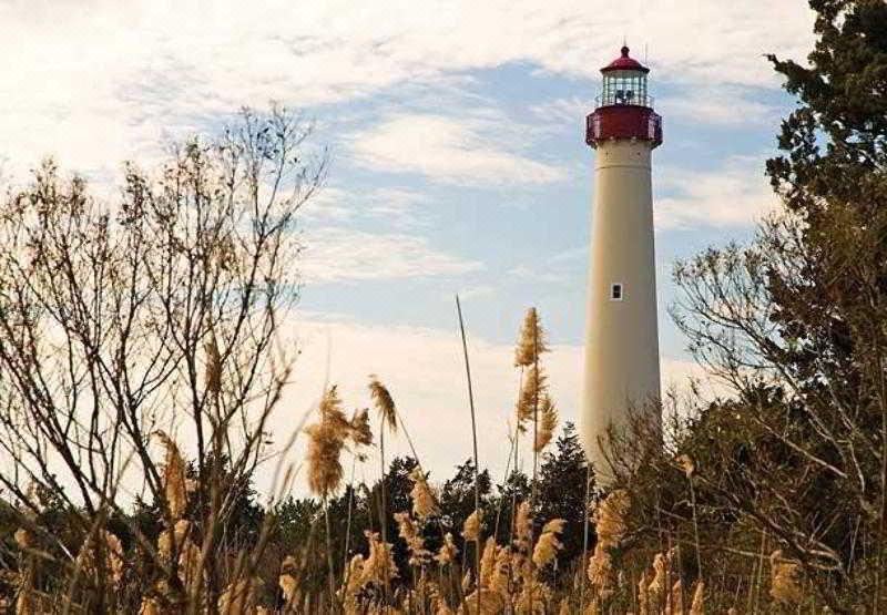 Photo of Others in Galloway