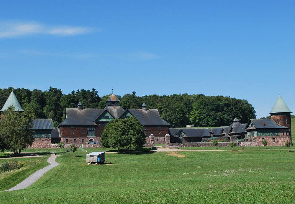Photo of Buildings in Williston North