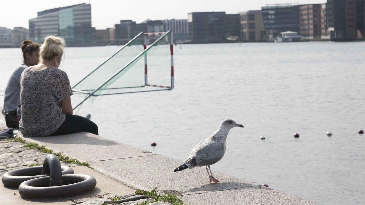 Photo of Others in Amager