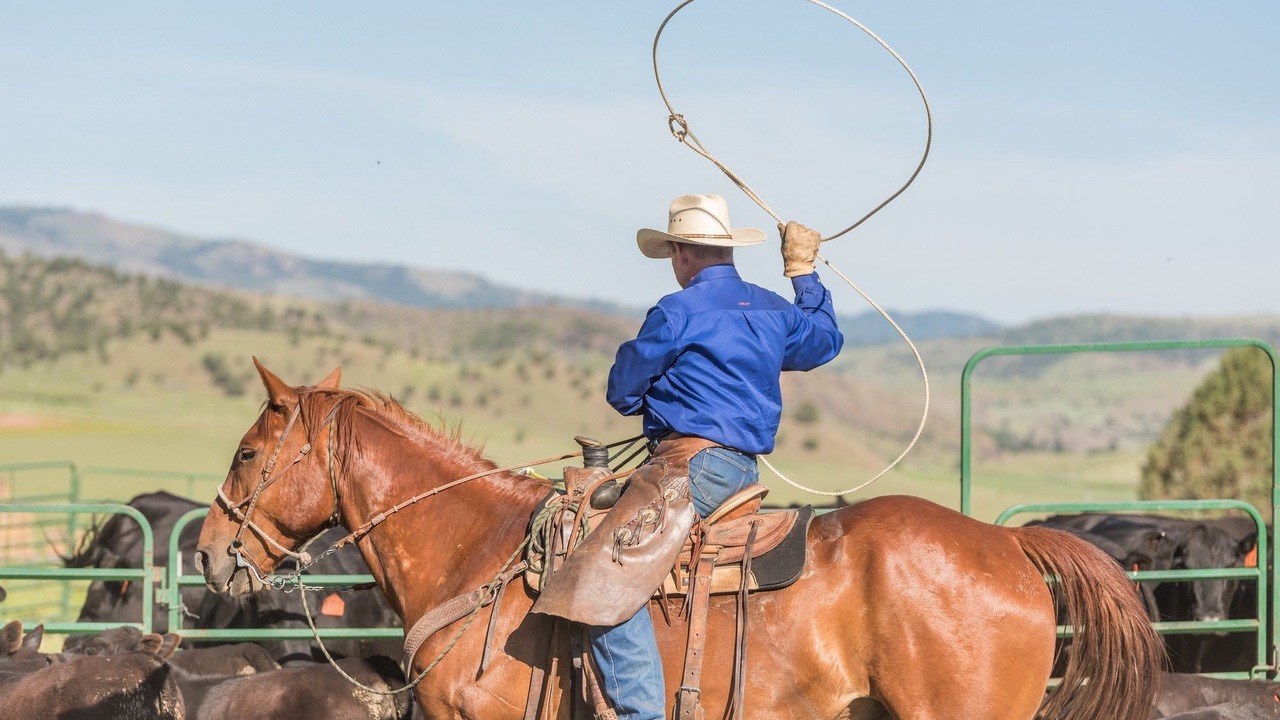 Photo of Human In Picture in Fossil