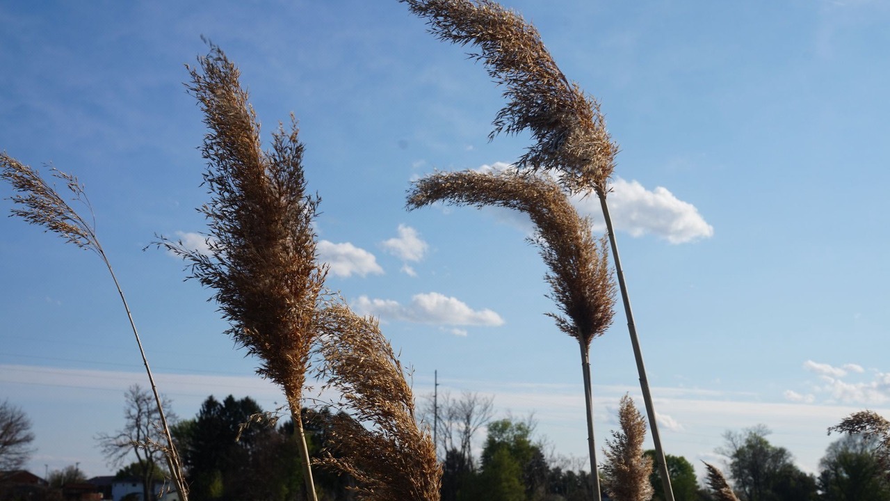 Photo of Outdoor in Bellevue