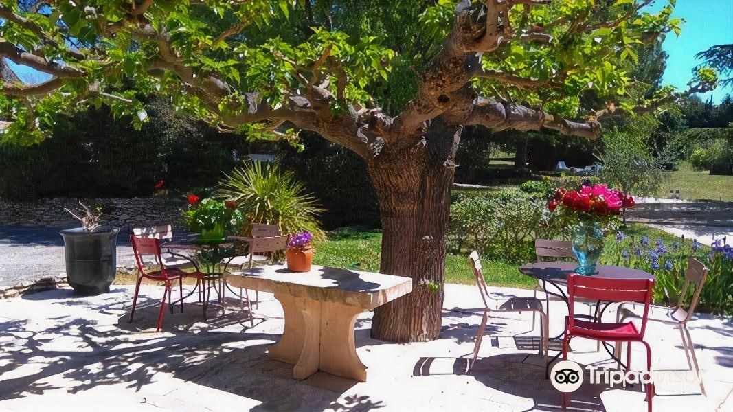 Photo of Patio Balcony in Fontvieille