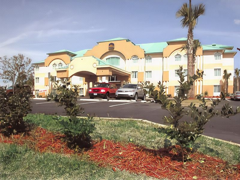 Photo of Buildings in Pine Forest