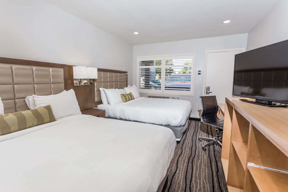 Photo of Bedroom in Central Berkeley