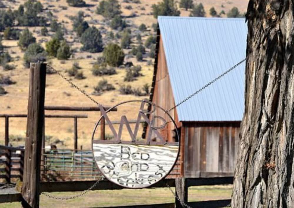 Photo of Others in Fossil