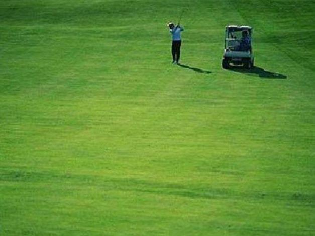 Photo of Others in Ruidoso Downs
