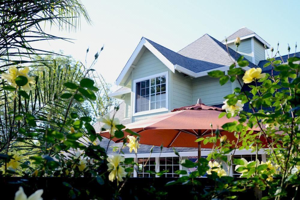 Photo of Buildings in Willits