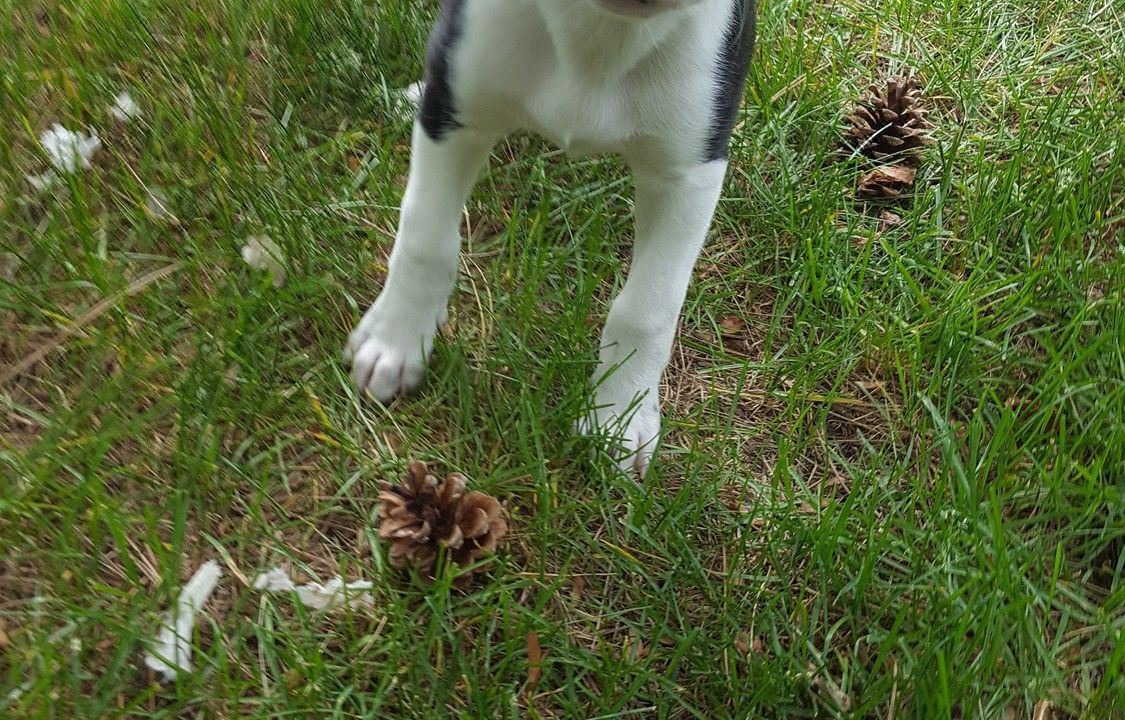 Photo of Others in Coeur d'Alene