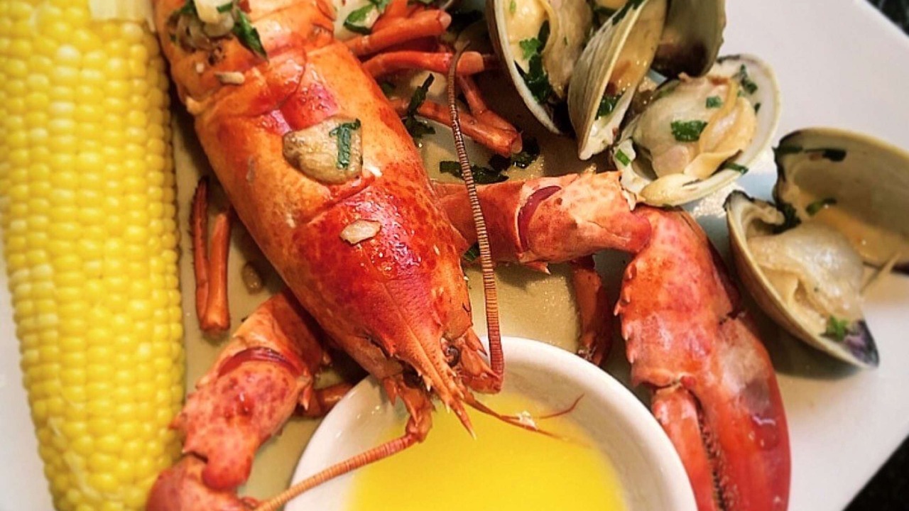 Photo of Human In Picture in New Rochelle