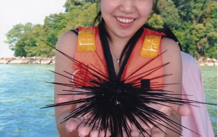 Photo of Human In Picture in Pangkor Island