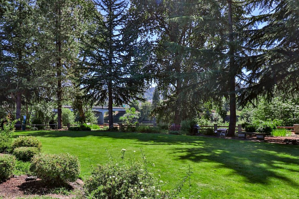 Photo of Buildings in Roseburg