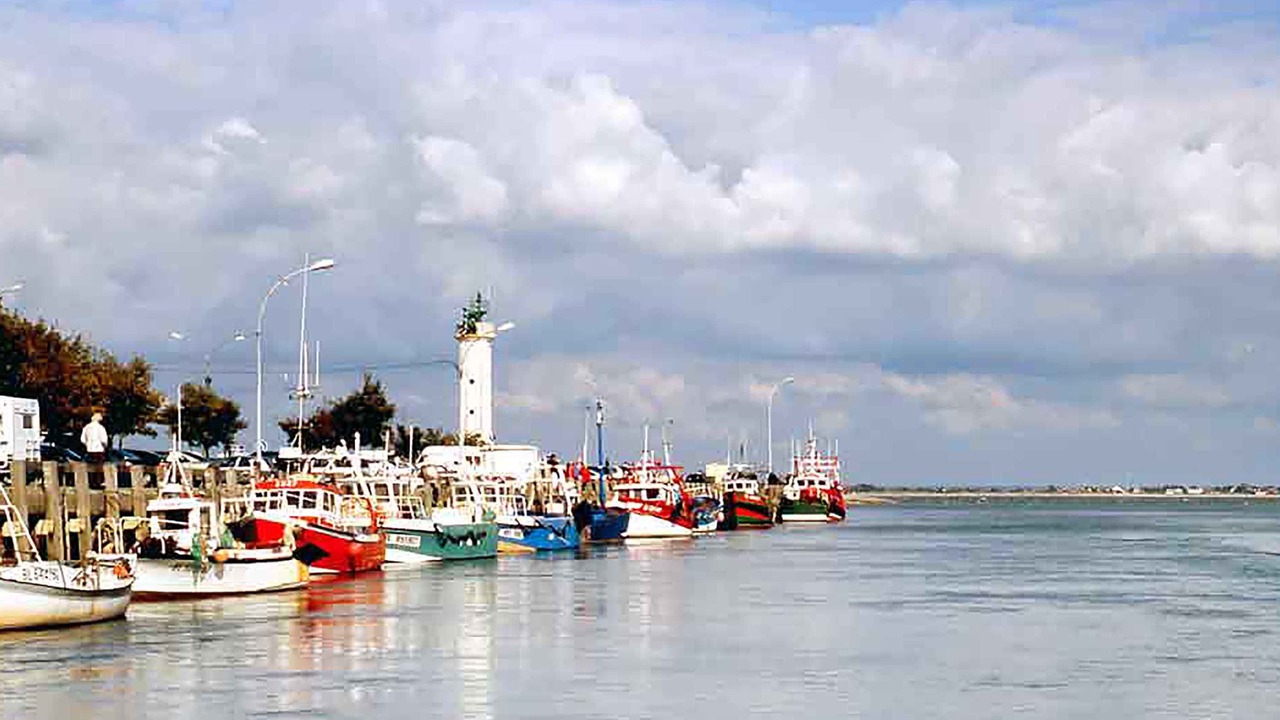 Photo of Outdoor in Abbeville