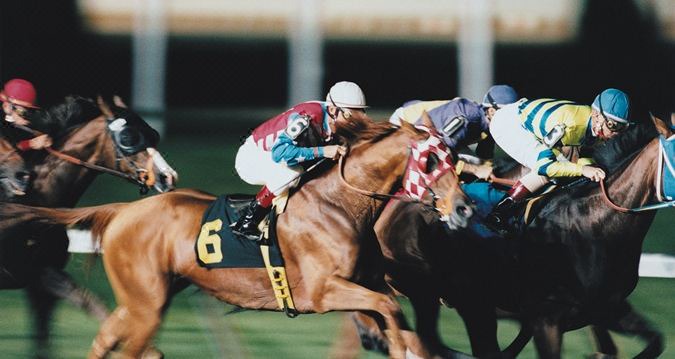 Photo of Human In Picture in Florence
