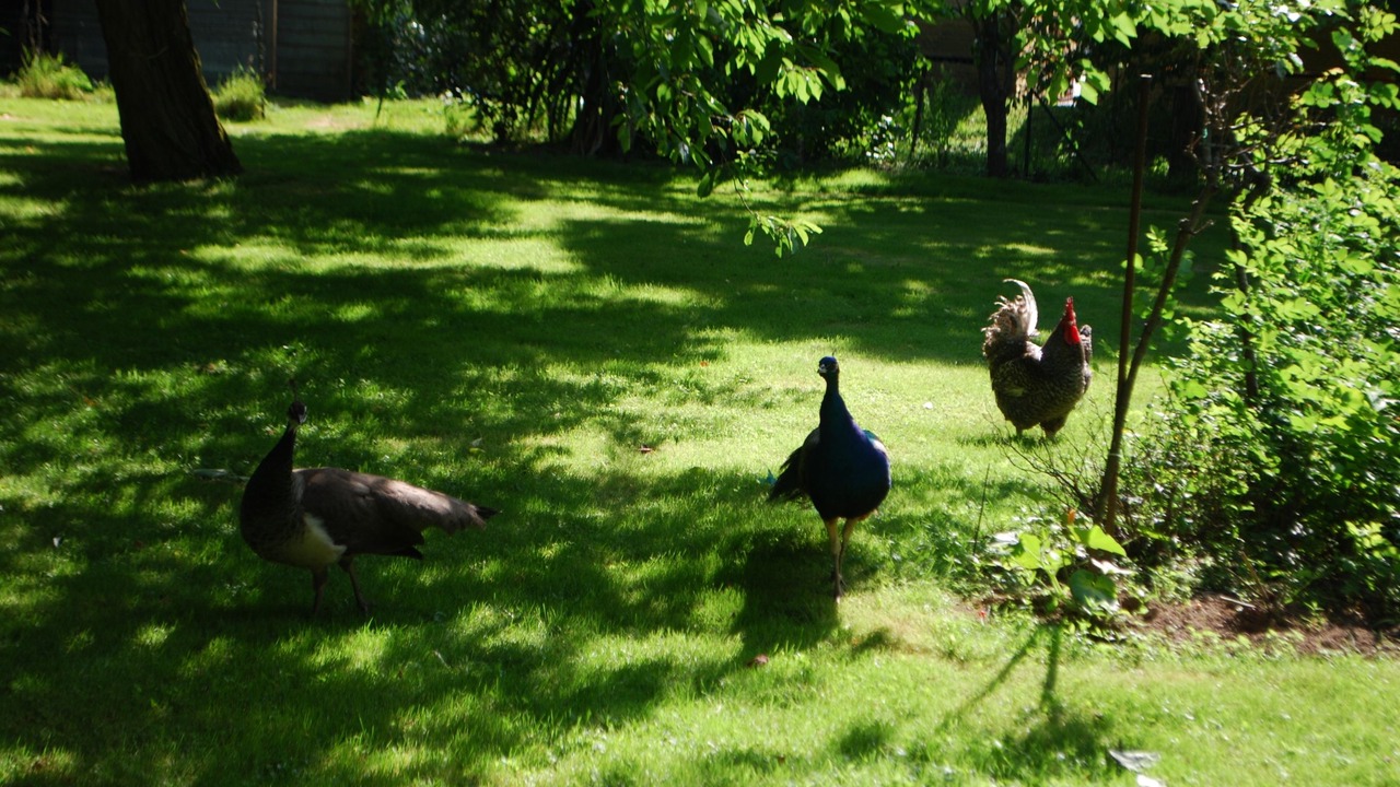 Photo of Outdoor in Cesson-Sevigne