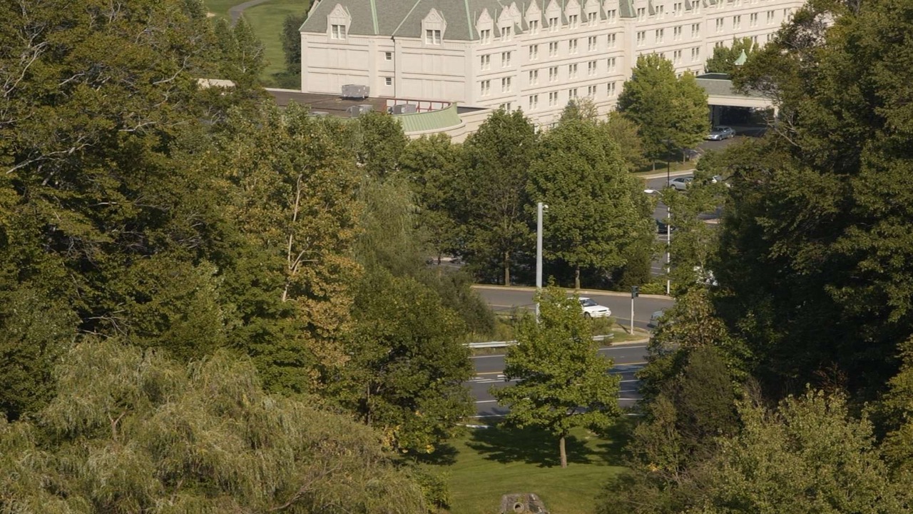 Photo of Outdoor in Pearl River