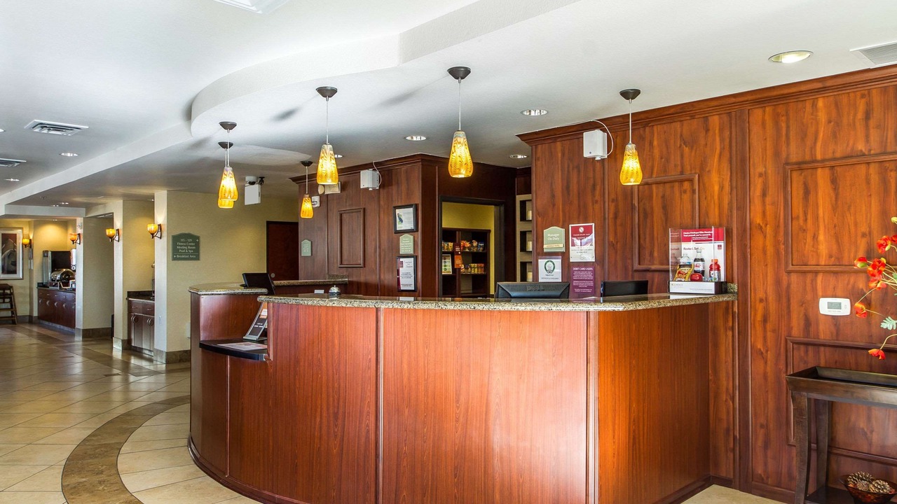 Photo of Others in Nut Tree