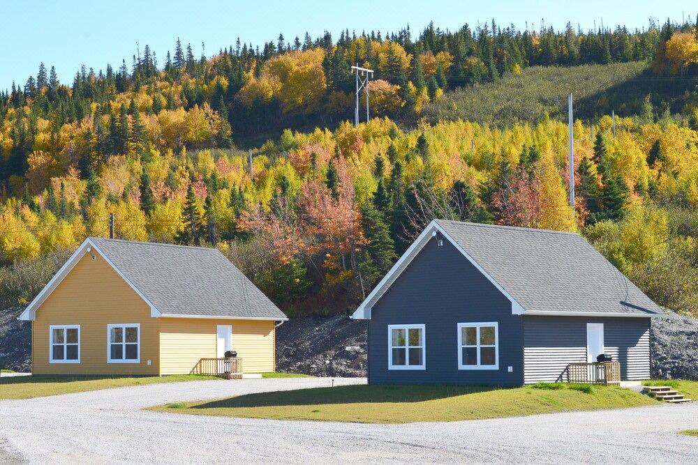Photo of Buildings in Corner Brook
