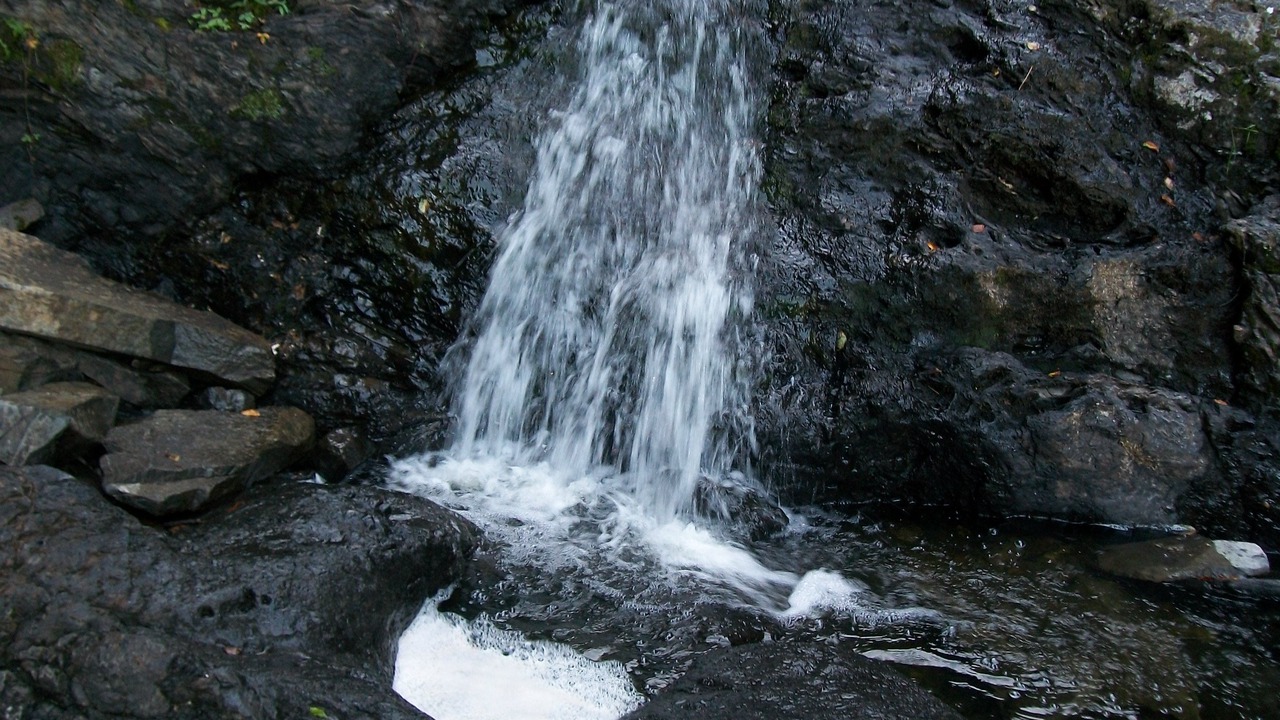Photo of Others in Corner Brook