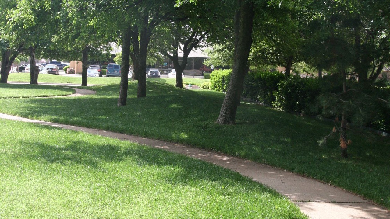 Photo of Outdoor in Addison