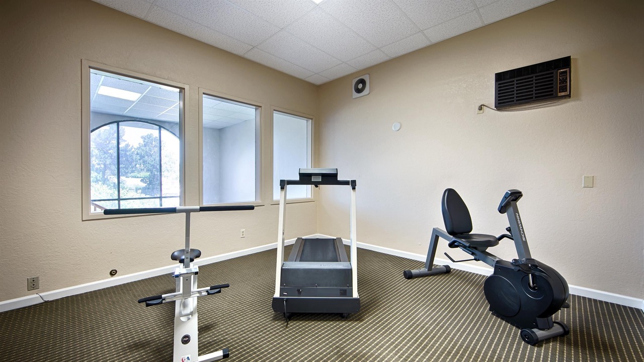 Photo of Others in Snail