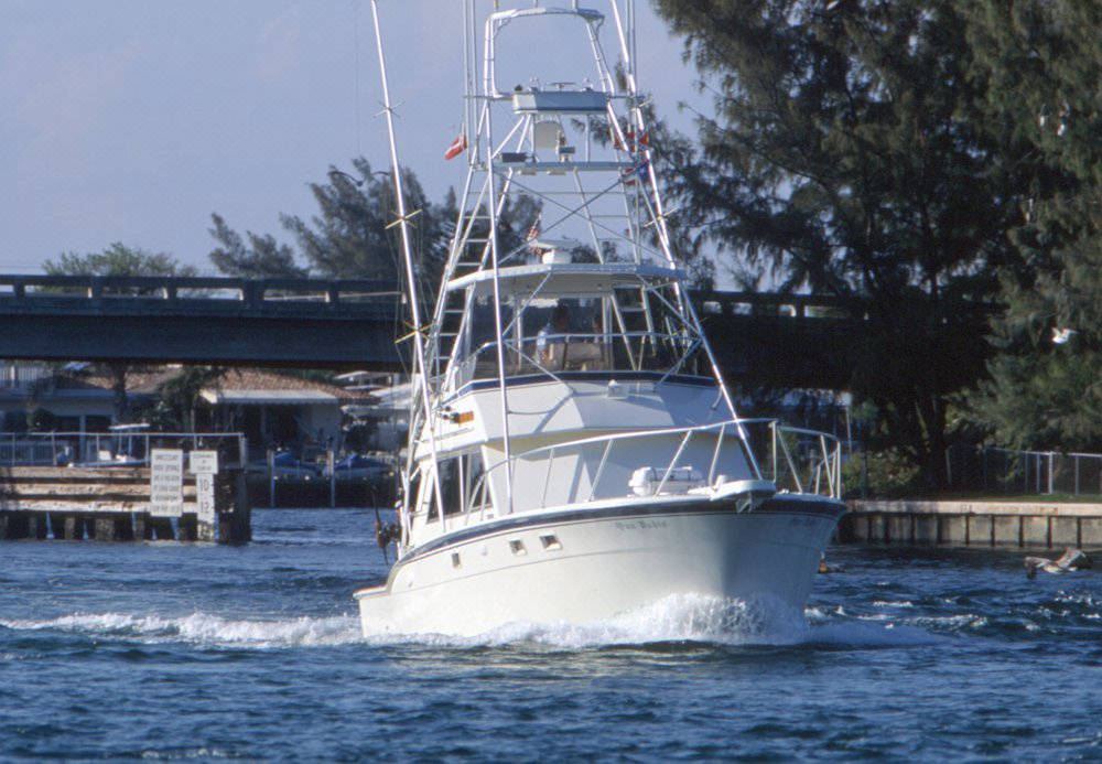 Photo of Buildings in Plantation