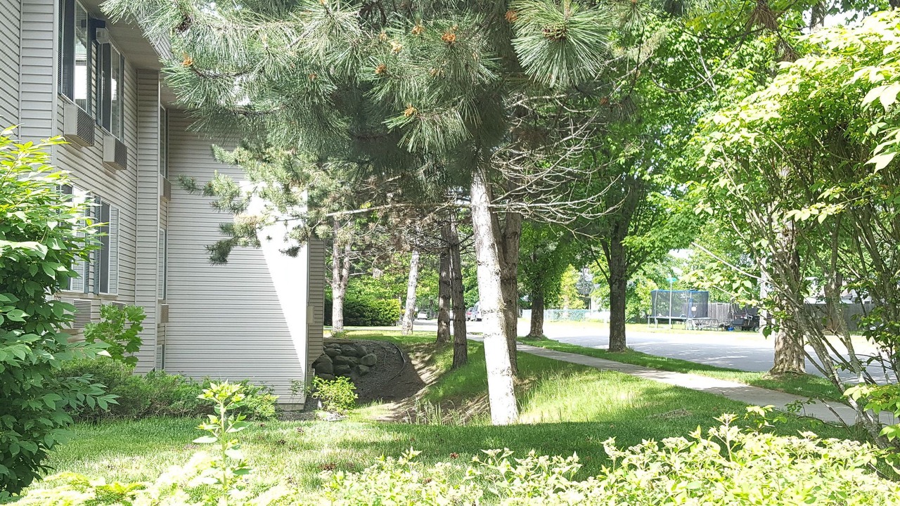 Photo of Others in Coeur d'Alene