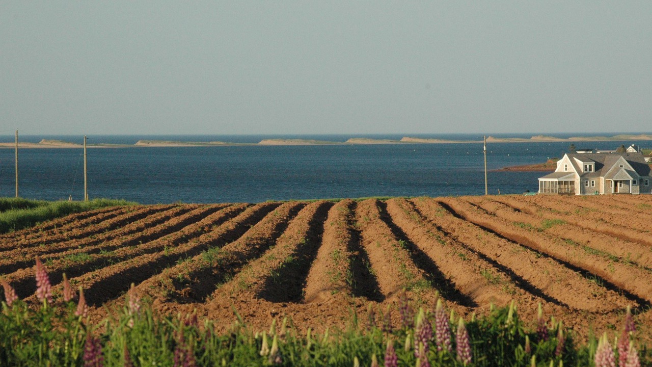 Photo of Outdoor in Charlottetown