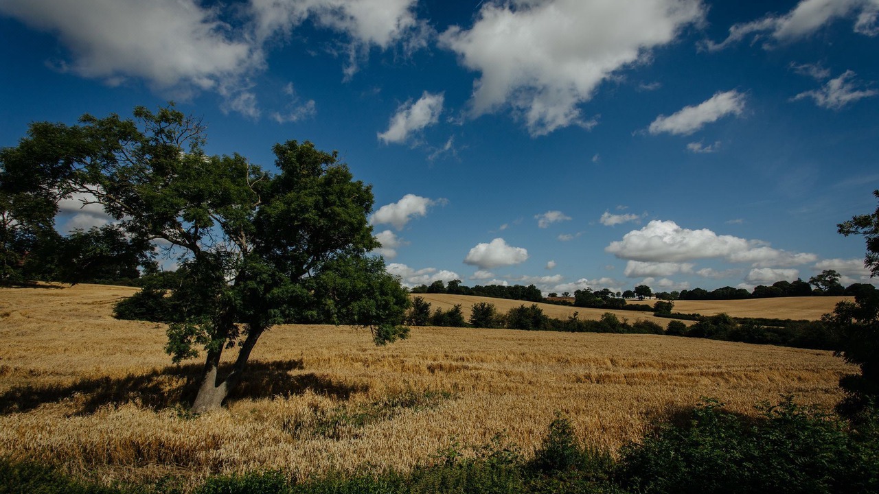 Photo of Others in Ramsden Heath
