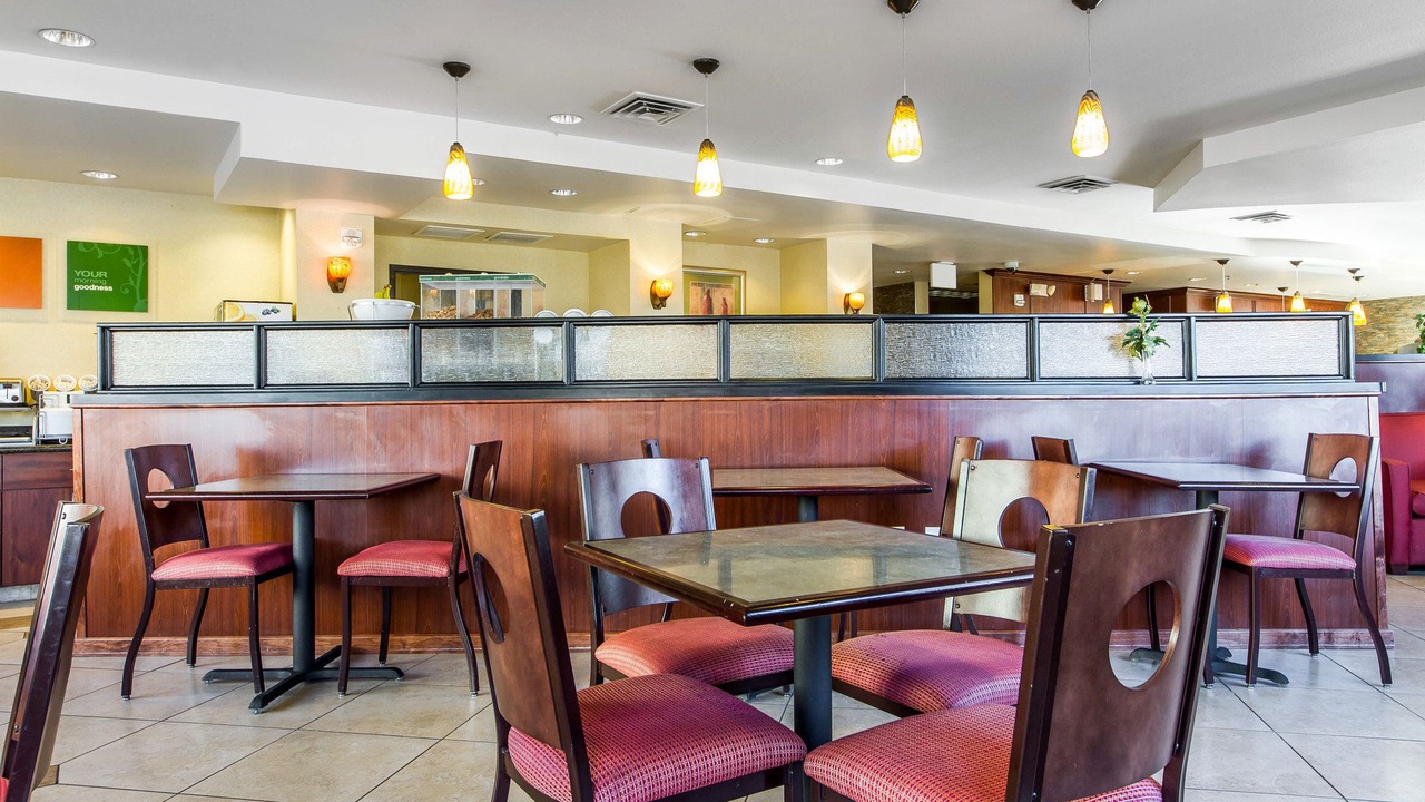 Photo of Others in Nut Tree