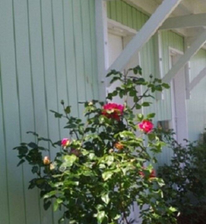 Photo of Others in Saintes