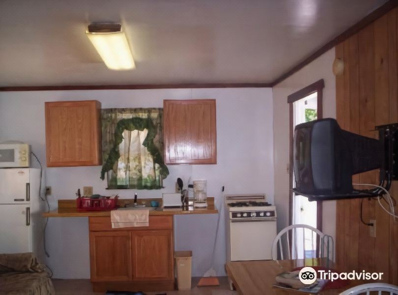 Photo of Kitchen in Winter Haven