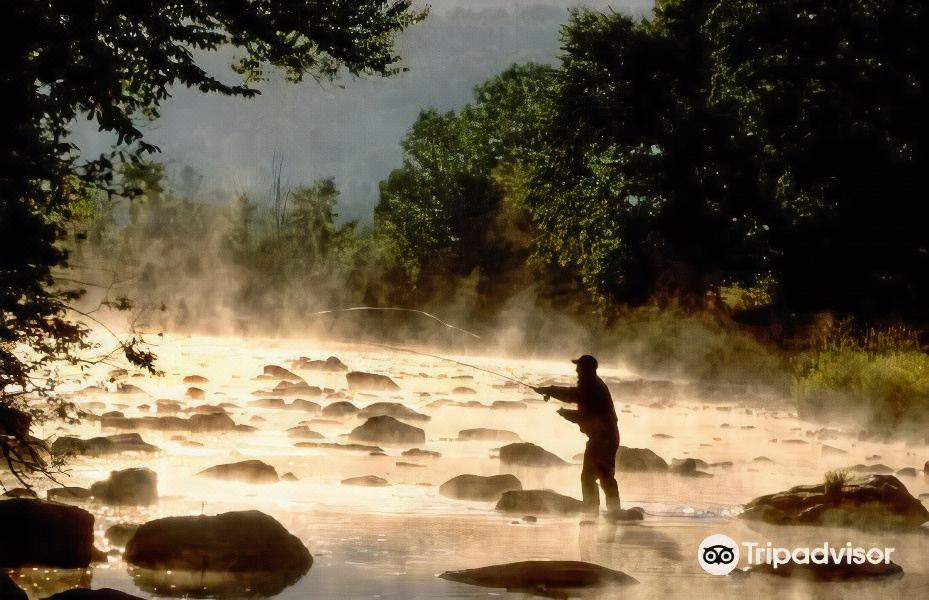 Photo of Others in Waterbury