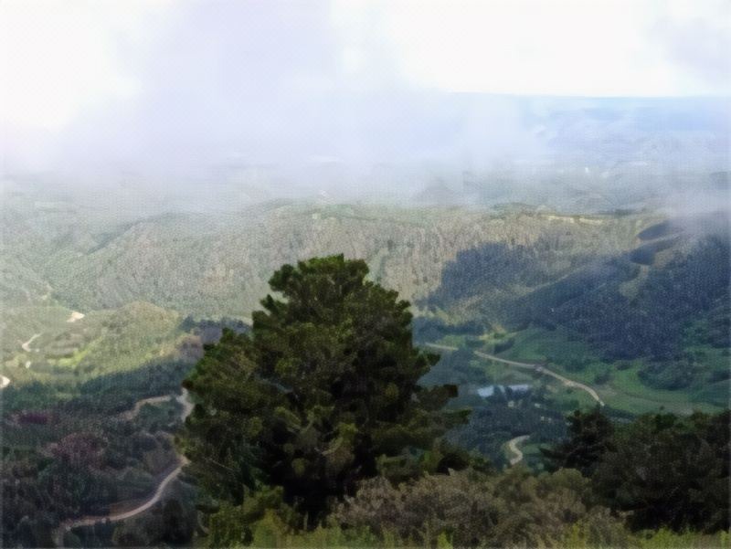 Photo of Outdoor in Ruidoso Downs