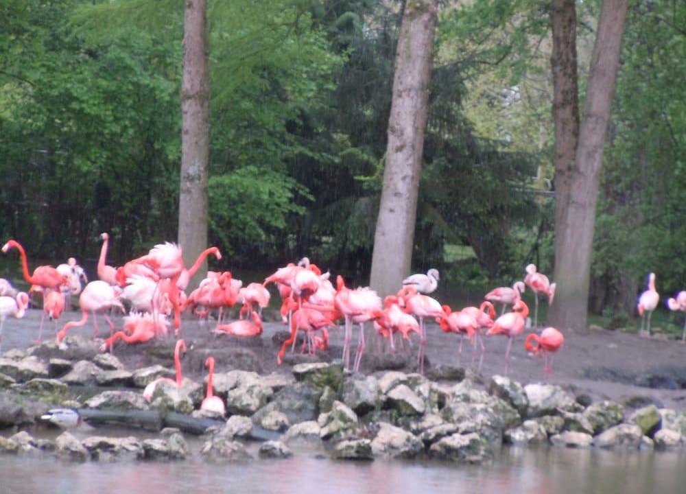 Photo of Others in Montrichard Val de Cher
