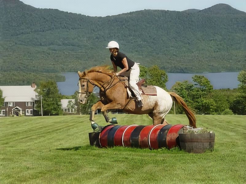 Photo of Others in Chittenden