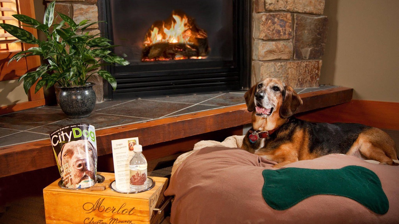 Photo of Others in Woodinville