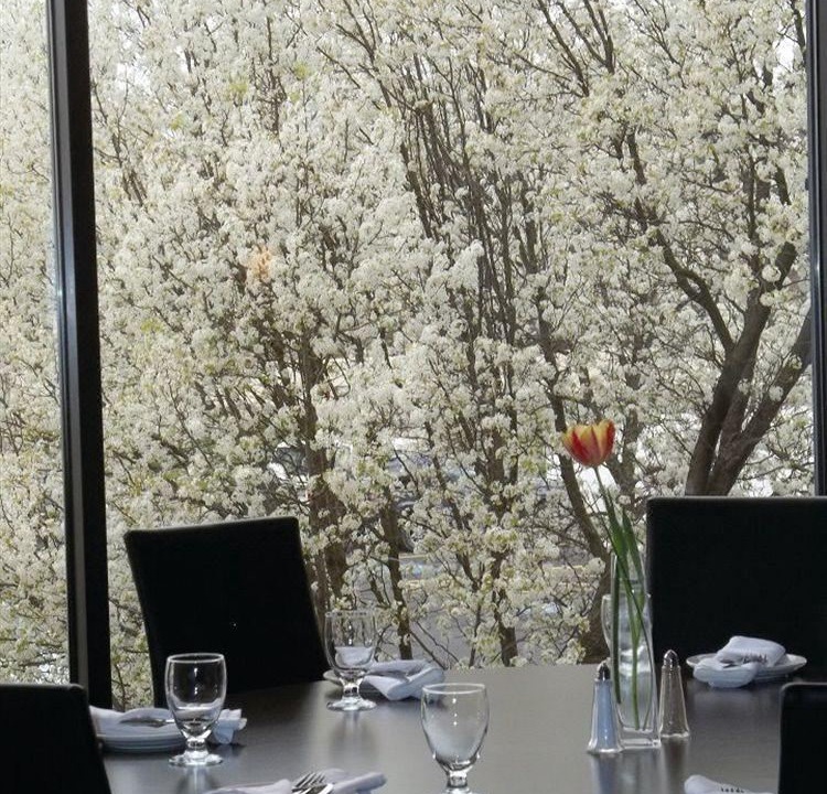 Photo of Others in Binghamton