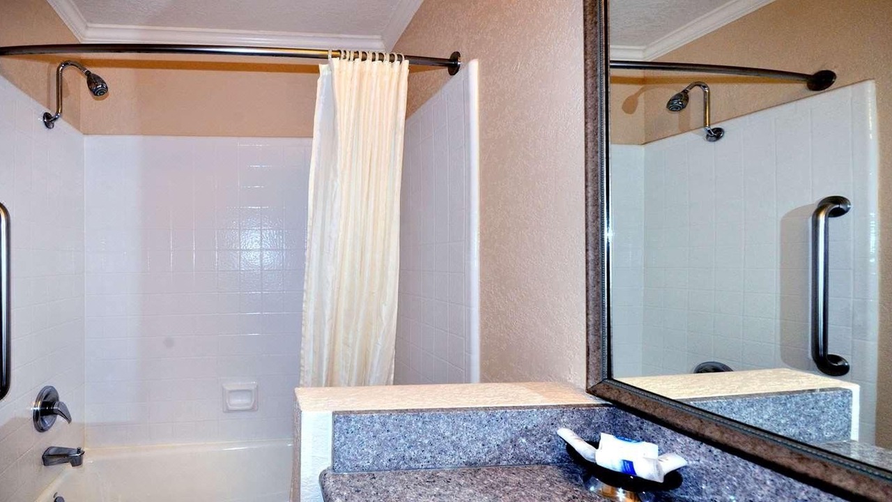 Photo of Others in Snail