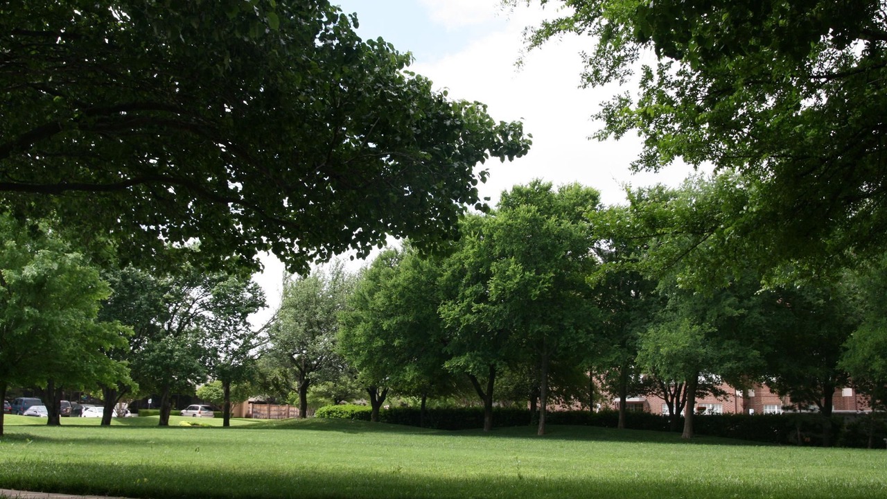 Photo of Outdoor in Addison
