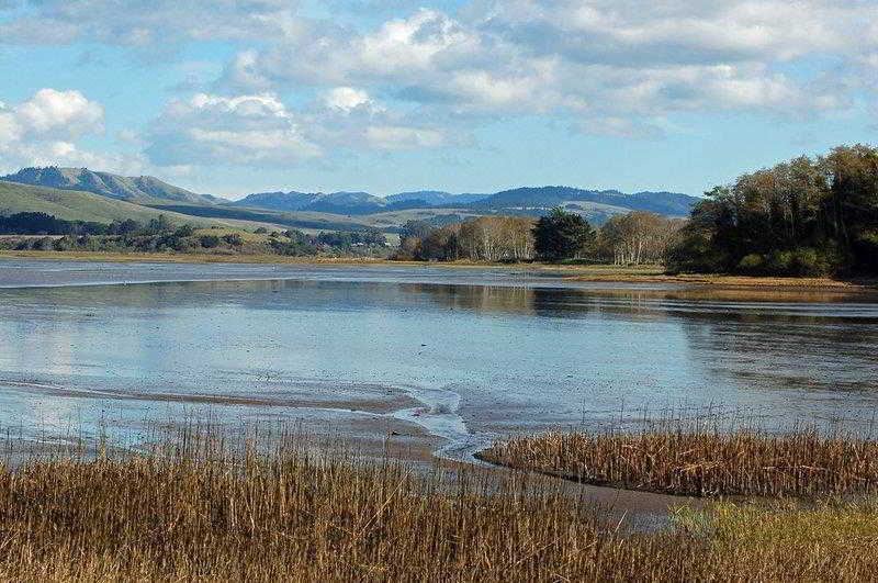 Photo of Outdoor in Novato