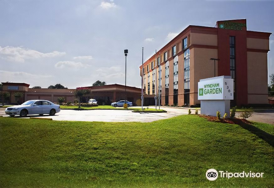 Photo of Buildings in Texarkana