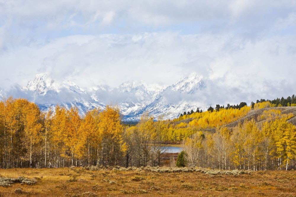 Photo of Outdoor in Jackson Hole