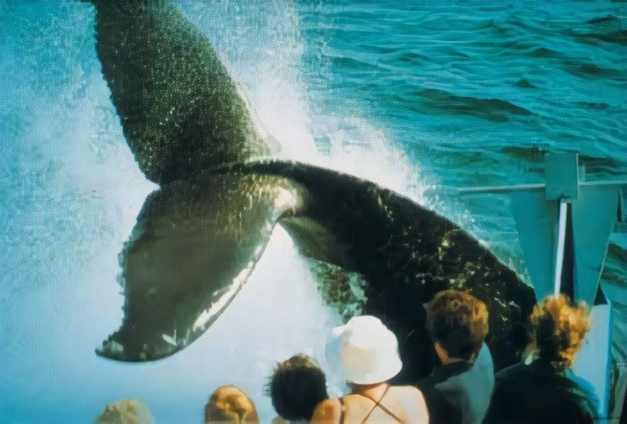 Photo of Others in Plymouth