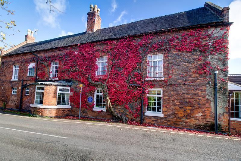 Photo of Buildings in Hilton