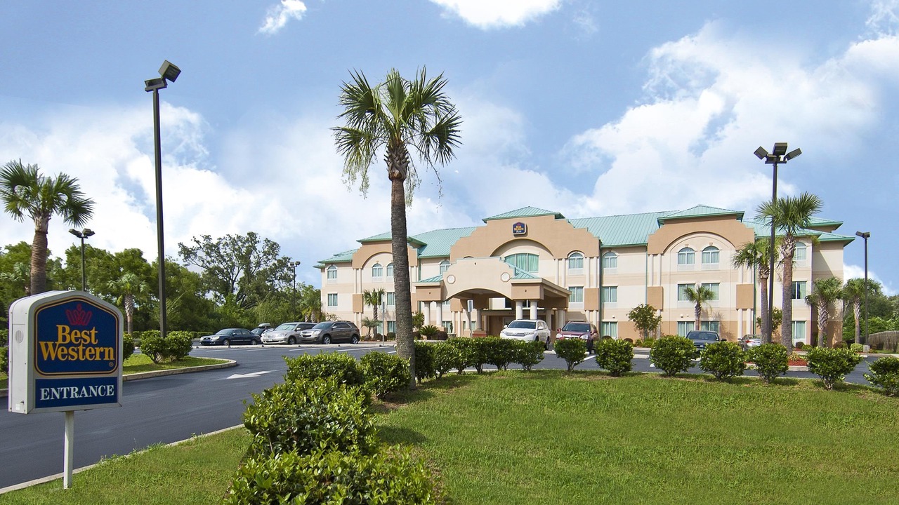 Photo of Buildings in Pine Forest
