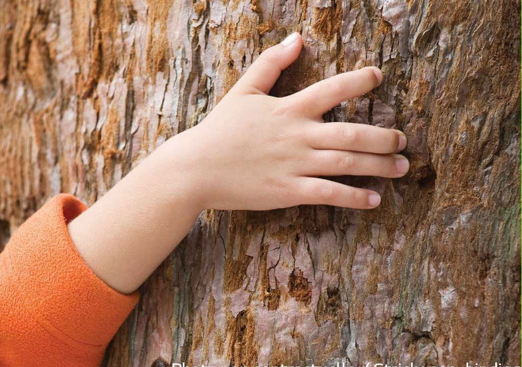 Photo of Bedroom in Macon