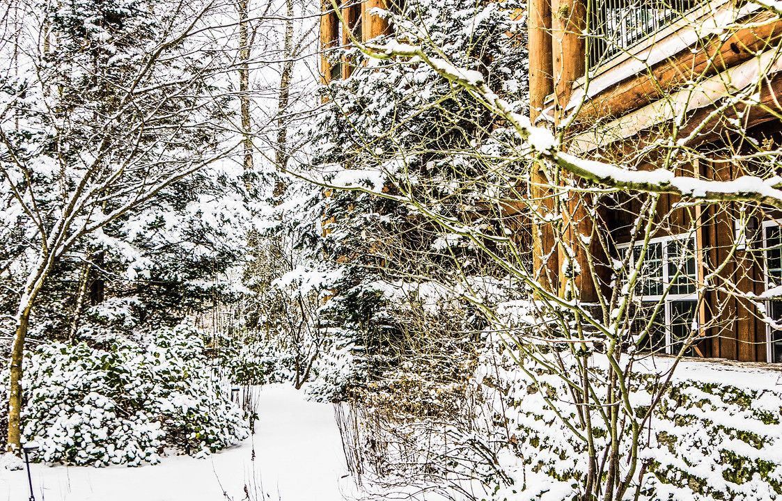 Photo of Buildings in Vancouver